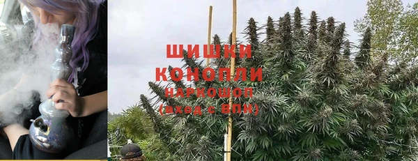 MESCALINE Белокуриха