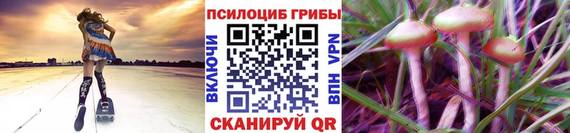 Псилоцибиновые грибы Magic Shrooms  Высоковск 